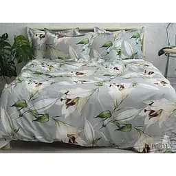 Комплект постільної білизни TAG Tekstil з компаньйоном Євро Різнобарвний 000240887 (PT-015)