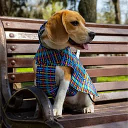 Дощовик для собак з капюшоном Barksi Textile розмір XXS Клітинка - мініатюра 5