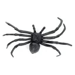 Паук Чорная вдова