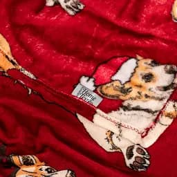 Плед Ardesto Flannel 160х200 см 100% поліестер різдвяні коргі pbe0050469 - мініатюра 10