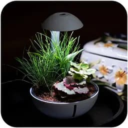Мінітераріум Chihiros Tiny Terrarium Egg з LED-підсвіткою та керуванням через застосунок - мініатюра 2