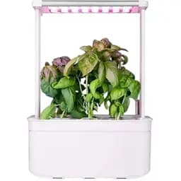 Гидропонная система Abis Flowerpot