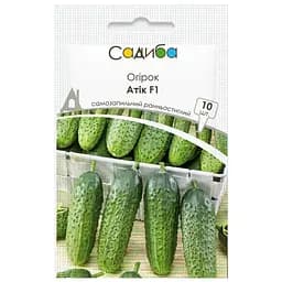 Семена огурцов Садиба Атик F1, 10 шт.