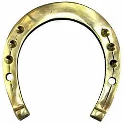Підкова бронзова 11х10,5 см