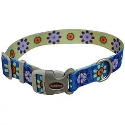 Нашийник для собак Coastal Sublime 3,8 х 46-66 см (23921_FPU26)
