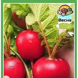 Семена Весна Редис Кармен 2 г (10366)