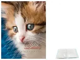 Альбом UFO PP-46200 Cat photo 10x15x200см (PP-46200 Cat photo) - мініатюра 2