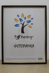 Фоторамка 30х45, вишнева із золотою вставкою, 1511-х054-2, СКЛО + ДВП                                                                                                                                                                                                                                                                                                                                                                                                                                          
