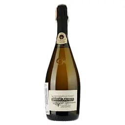 Игристое вино Carpene Malvolti Prosecco Superiore Coneglano Valdobbiadene Extra Dry DOCG, белое, экстра драй, 0,75 л