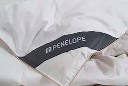 Ковдра Penelope - Dove New 6,5 tog пухова 220x240 King size - мініатюра 4