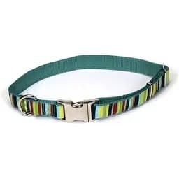 Ошейник для собак Coastal Pet Attire Ribbon Мультиколор 2,5 x 46-66 см