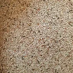 100 г семена чиа белые - свежий урожай