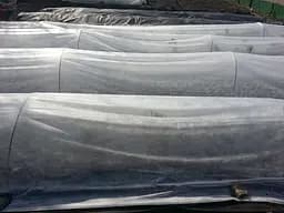 Агроволокно Greentex P-50 1.6х10 м біле (39324) - мініатюра 4