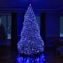 Новогодняя гирлянда Рождественская фея GarlandoPro 100 м 1000 LED черный провод Синий CF1000L100MBBL