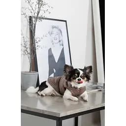 Жилет Pet Fashion Hardy для собак розмір S2 - мініатюра 7