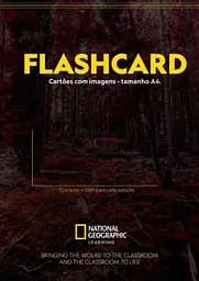 Our World 3. Flashcards