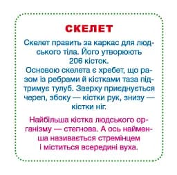 Розумні картки. Моє тіло. 30 карток - мініатюра 3