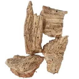 100 г молочай палласа корень сушеный - свежий урожай