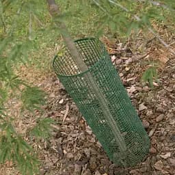 Сітка полімерна Tenax Quadra 10, 1х5 м зелена (8002929000453) - мініатюра 3