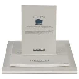 Альбом-склейка мультитехніка Sennelier Carte d'art, 15 аркушів, 340 г/м, 24х32 см - мініатюра 2