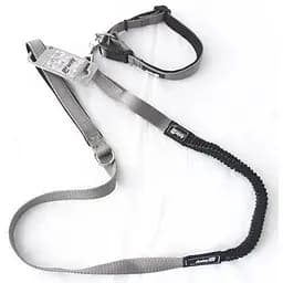 Нашийник з повідцем для собак AnimAll S, сірий