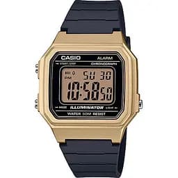 Мужские часы Casio Timeless Collection W-217HM-9AVEF