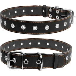 Нашийник для собак Collar безрозмірний (4820082492052)