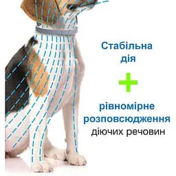 Нашийник Elanco (Bayer) Foresto від бліх та кліщів для собак від 8 кг 70 см - мініатюра 5