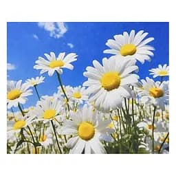 Алмазна мозаїка Strateg Сонячні пелюстки 30х40 см