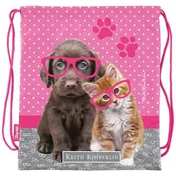 Сумка для обуви 1 Вересня SB-10 Keith Kimberlin серая с розовым (532848)