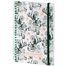 Блокнот Axent Green birds OS на спіралі А5 в клітинку 80 аркушів (8471-3-A-OS)