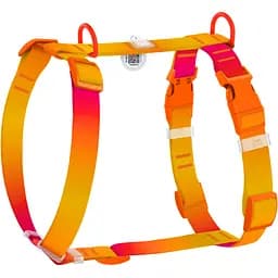 Шлея для собак Waudog Nylon Recycled анатомічна H-подібна з QR-паспортом градієнт розмір L 2.5х51-85х60-85 см помаранчева