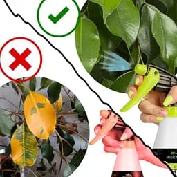 Обприскувач ручний Terrario Troppi Sprayer 500мл - мініатюра 5