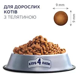 Уцінка. Сухий корм для котів Club 4 Paws Premium з телятиною 14 кг (B4630801) - мініатюра 4