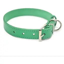 Нашийник для собак Zoo-hunt Весна шкіряна зелена 4,0/51-61 см