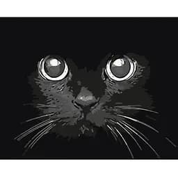 Картина за номерами Brushme Погляд ночі 40x50 см (BS52234)