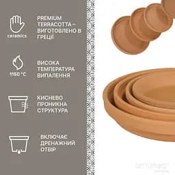 Підставка для горщика TerraNeo 20х5 см (700087) - мініатюра 4