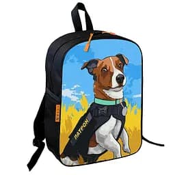 Рюкзак школьный детский Пес Патрон 36х27 см для мальчика (00839)