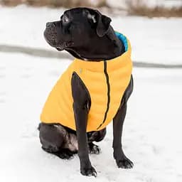 Двостороння курточка AiryVest для собак, Colors of freedom, L65 - мініатюра 4