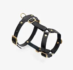 Шкіряна анатомічна шлея для собак "Classy" XS чорна (обхват грудини 28-36 см) - мініатюра 6
