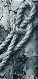 Knots Step by Step - мініатюра 12