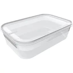 Контейнер Plast Team Helsinki прямокутний 290х200х80 мм 3 л (1511.1)