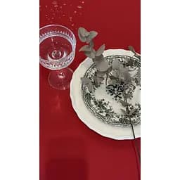 Скатертина  Ecotton Duck водовідштовхувальна 170х220 см Red (25338) - мініатюра 3