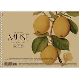 Альбом Muse Drawing на спіралі A4 30 аркушів в асортименті (PB-SC-030-346)