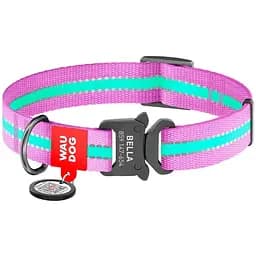 Нашийник для собак Waudog Nylon, світловідбивний, світлонакопичуючий, з QR паспортом, металева пряжка-фастекс, XL, 35-58х2,5 см, фіолетовий