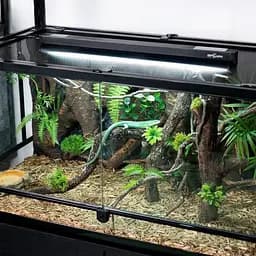 Світильник з лампою T5 Repti-Zoo Lighting Combo Smart KIT 10.0 UVB 8W 31.5 см (ZAT2808ST) для рептилій - мініатюра 7