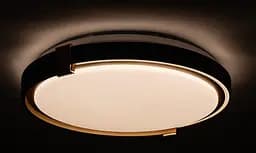 Стельовий світильник Coliseum матовий 80W 480 x 70 мм 3000К-6500К з ДК чорне золото - мініатюра 5