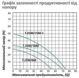 Насос поверхневий відцентровий Pumpman TJSW/10M Нmax 34 м Qmax 4,2 куб.м 0,75 кВт (CV029757) - мініатюра 5