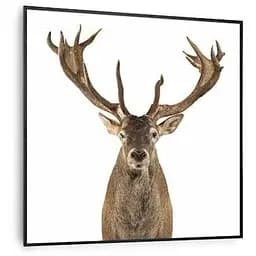 Инфракрасный обогреватель Klarstein Wonderwall Air Art Smart Deer (10037831)