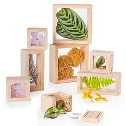 Набір Guidecraft Natural Play Скарби у прозорих ящиках G3084